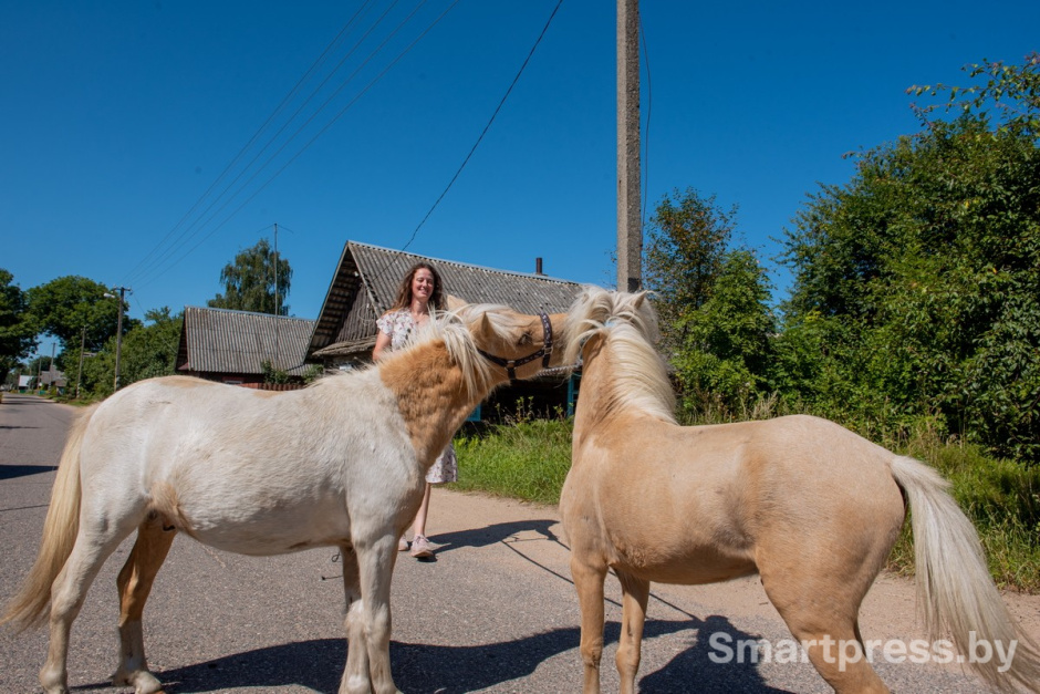 16-Бентли и Мадрид.jpg