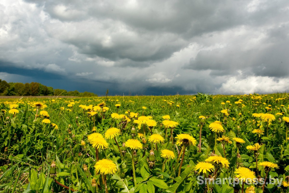 Семья из Израиля переехала жить в белорусскую деревню 25.jpg