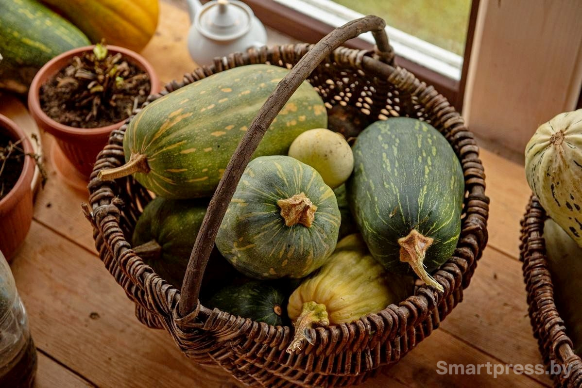 22-Корзинка с овощами.jpg