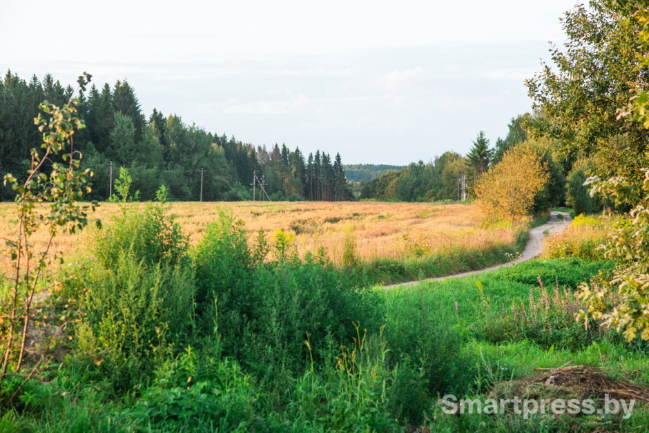 3-Поле рядом с деревней Заречное Дзержинского района.jpg