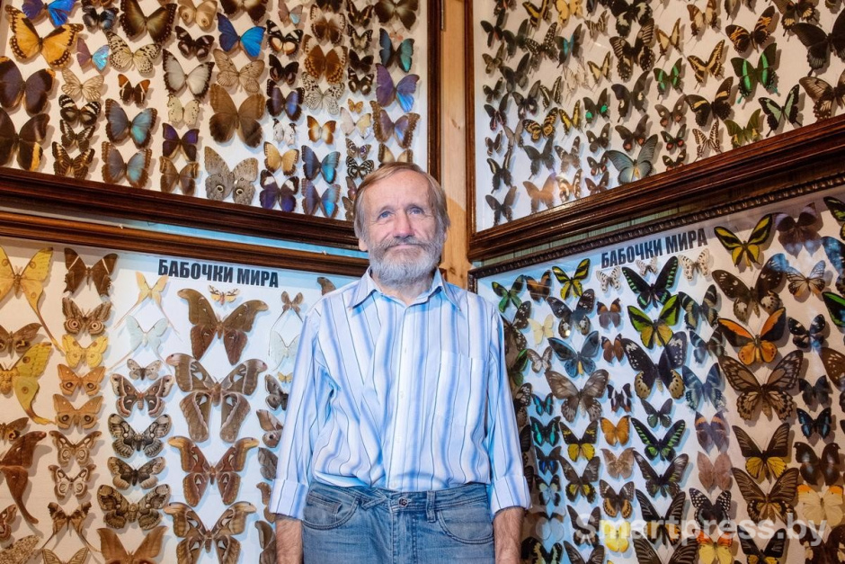 5-Больше 20 лет Геннадий Константинович собирал коллекцию экзотических бабочек.jpg