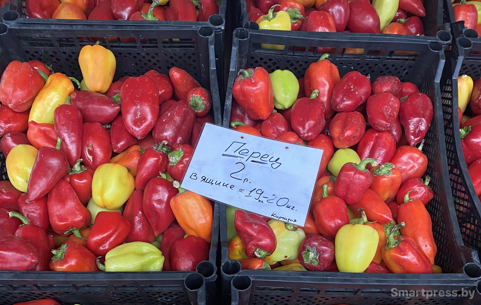 перец по 2 рэ ящиками