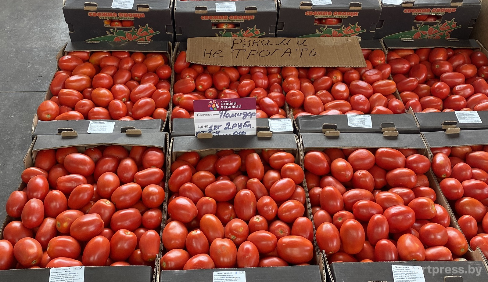 помидоры по 2 рэ - от 5 кг