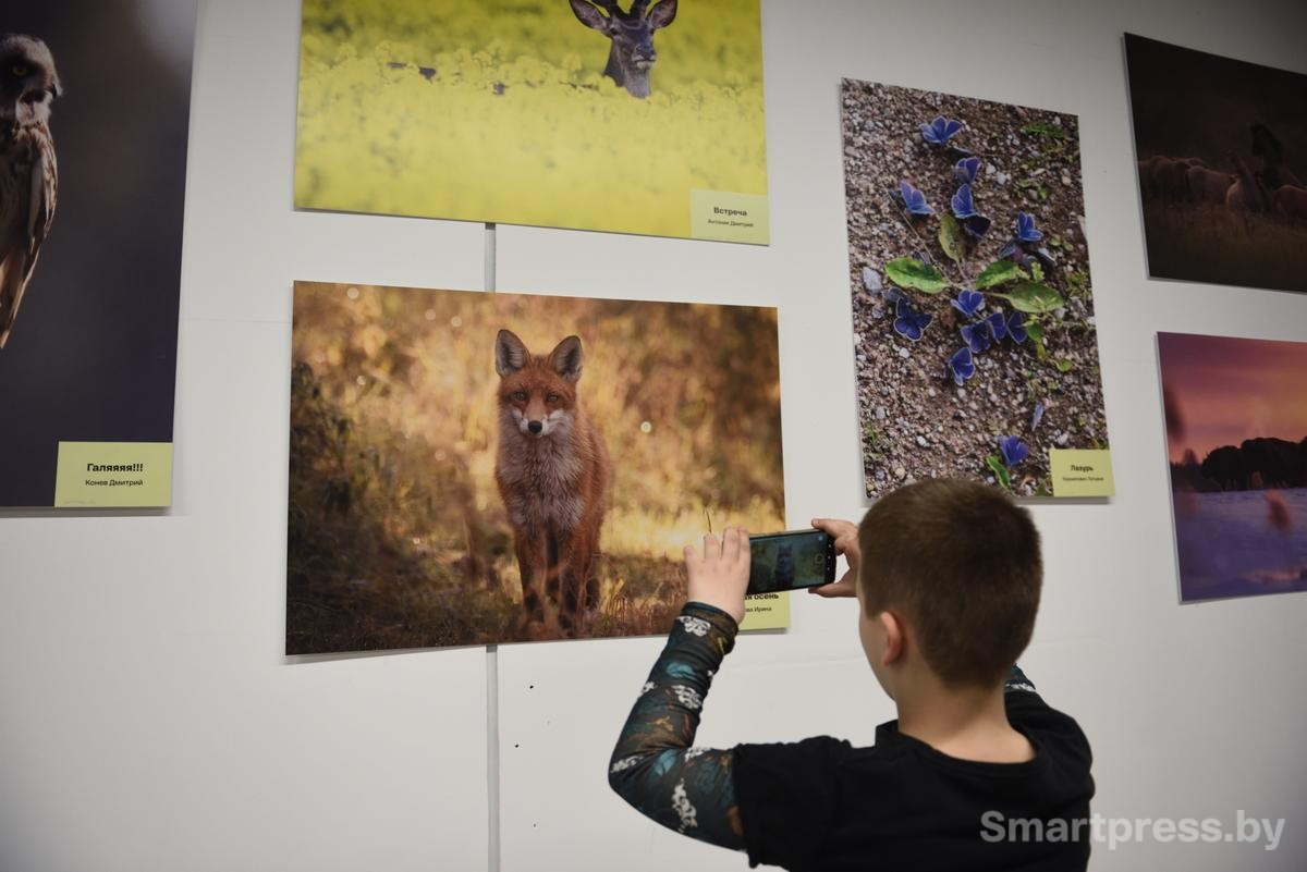 7-Школьники на фотовыставке Дикая природа Беларуси 2025.jpg
