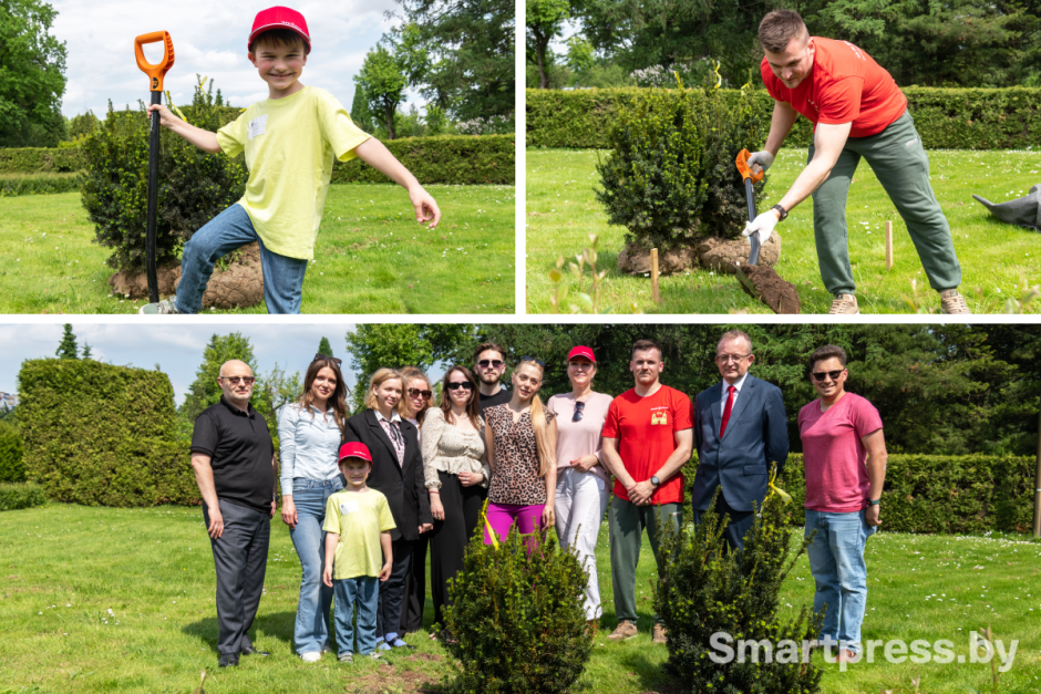 Сотрудники БСБ Банка высаживают алею тисов в минском Ботаническом саду