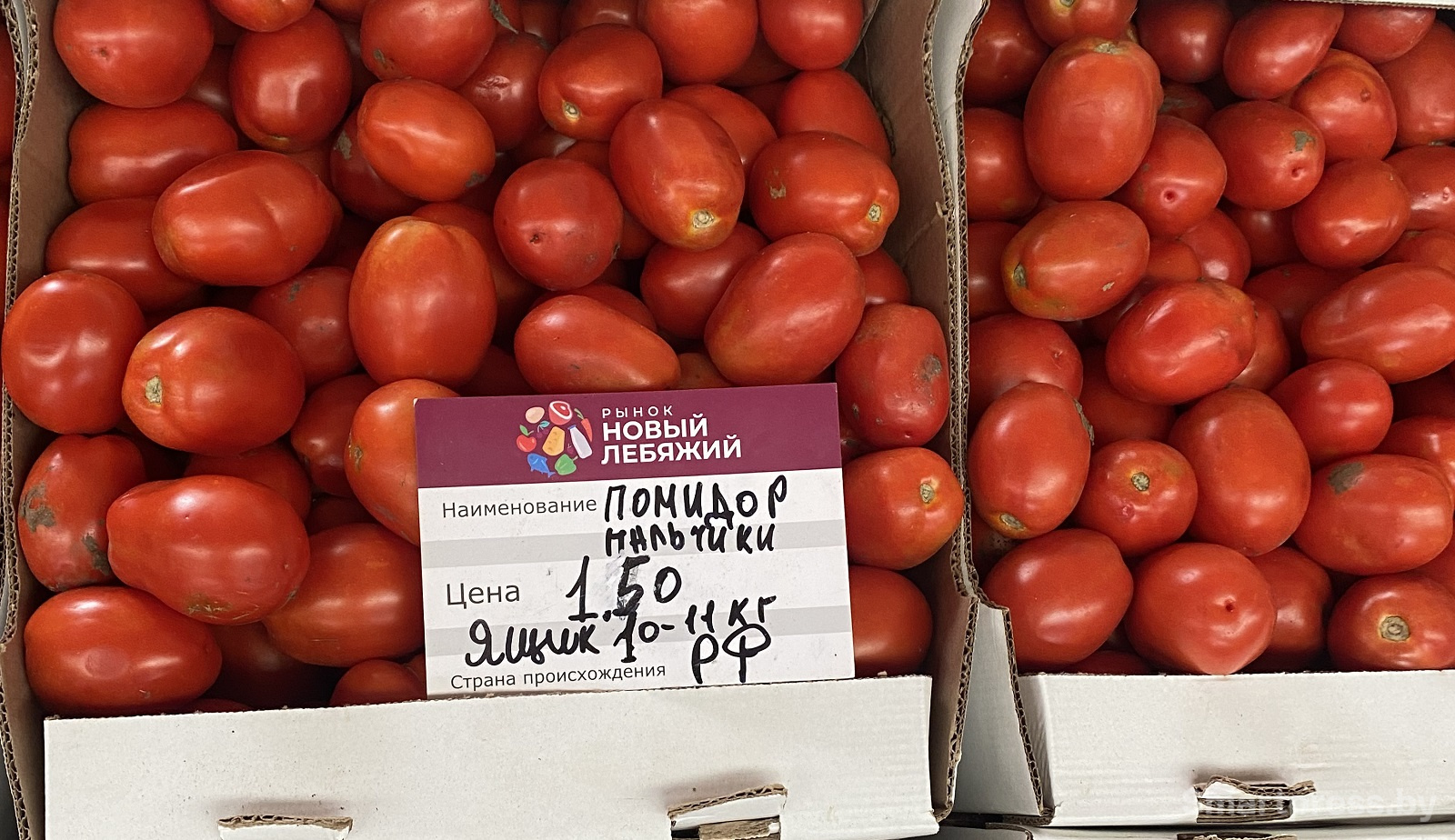 помидоры пальчики по 1,5 рэ