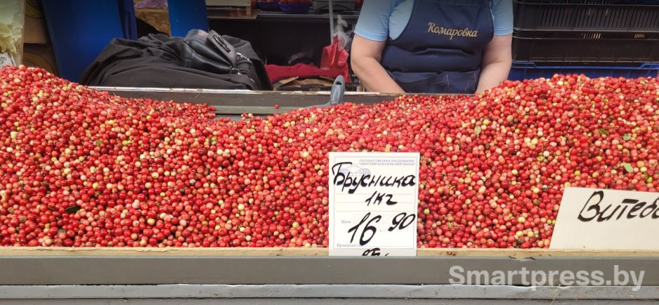 photo_2025-08-25_11-28-16 (2).jpg