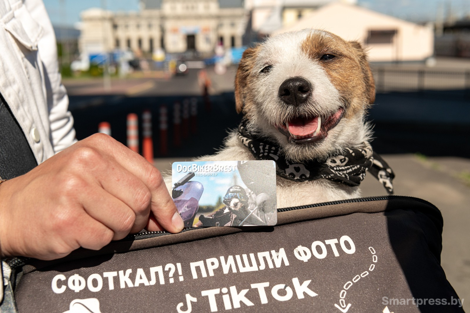 5-Сувениры от пса-байкера Джеки из Бреста.jpg