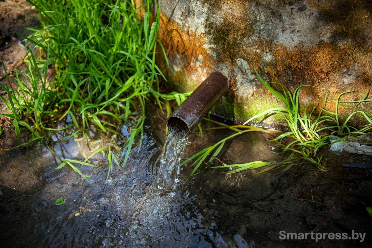родник
