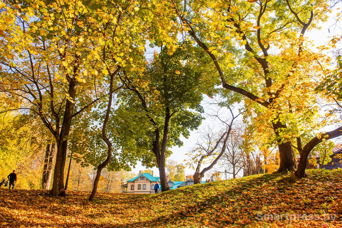 осень_лошицкий_парк_октябрь осень_лошицкий_парк_октябрь