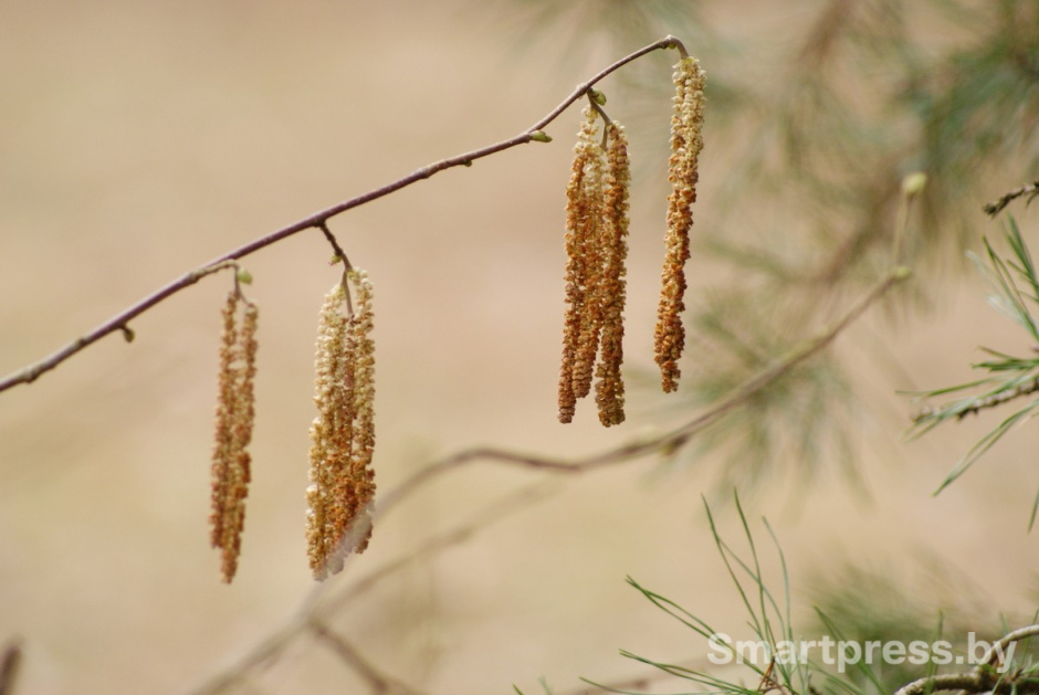 Минчанка купила 100-летний хутор 7.jpg