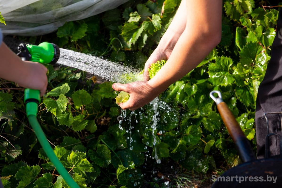 11-Этапы готовки бургера.jpg