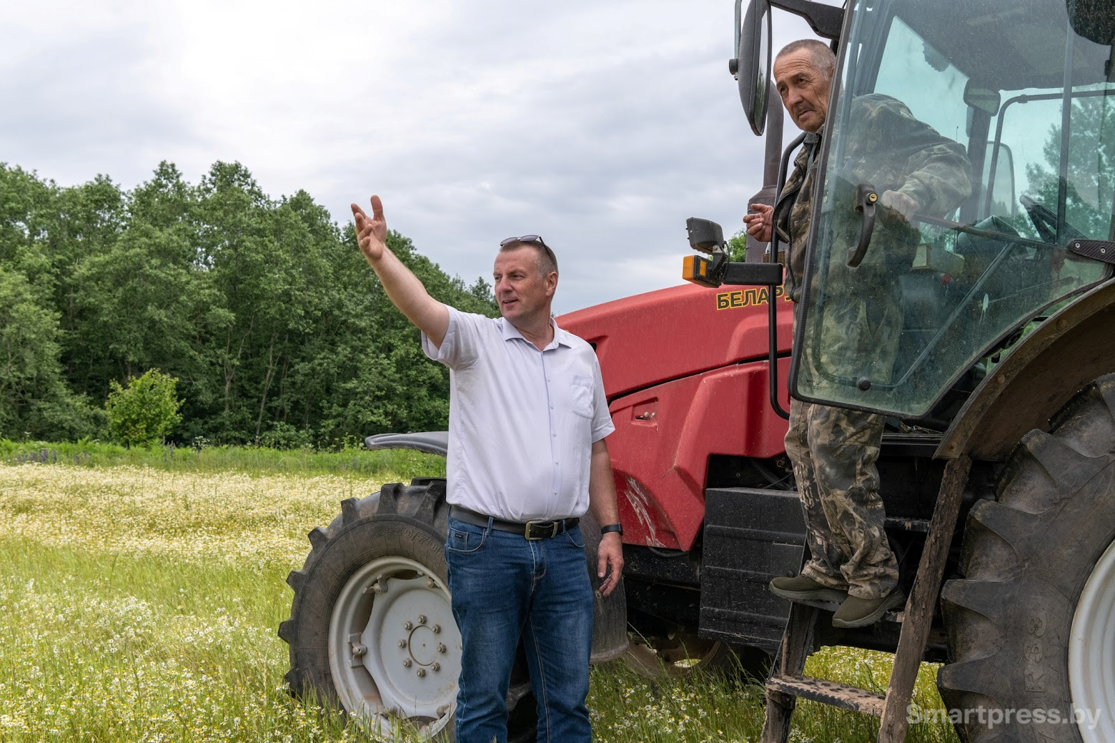 19-Как собирают ромашку в деревне Пищалово.jpg