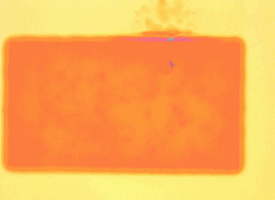 Как у осьминога. Ученые создали искусственную кожу, которая меняет цвет и текстуру по требованию