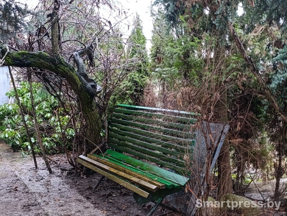 3-Сад рядом с домом.jpg