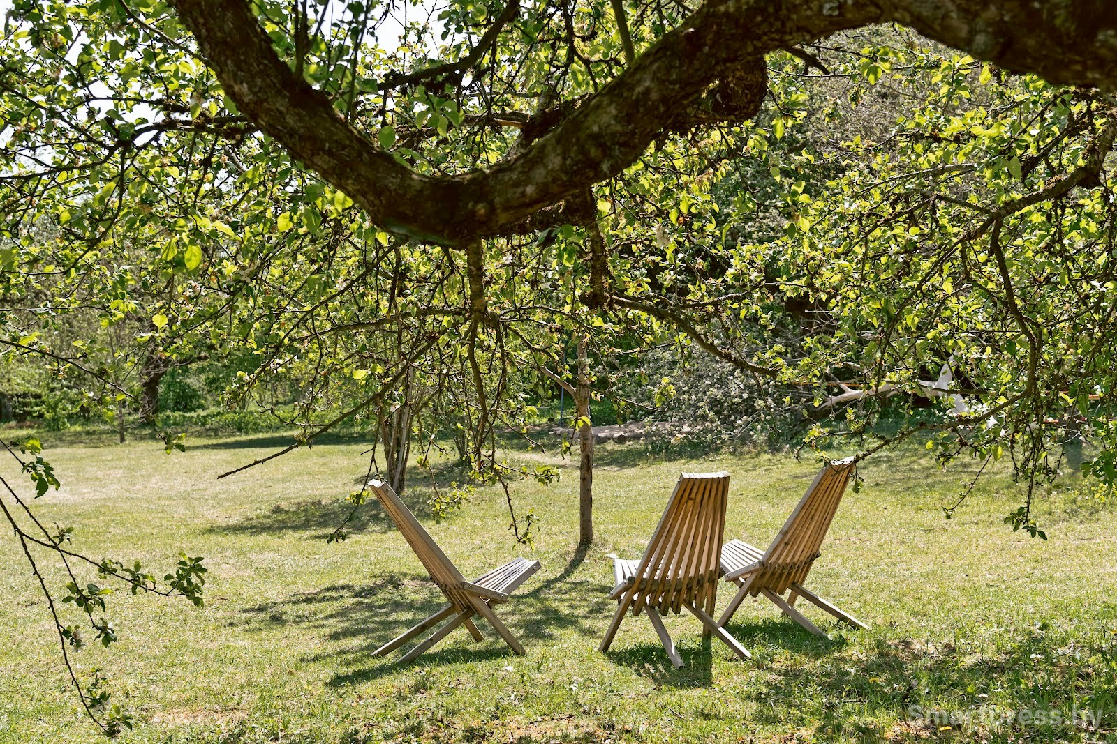 13-Яблоневый сад в Воложинском районе.jpg