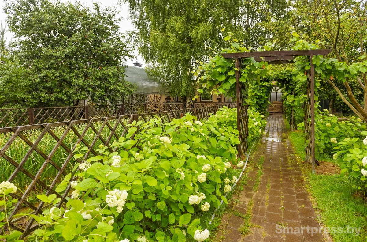 5-Зоосад семьи Марчук в Ходаково.jpg