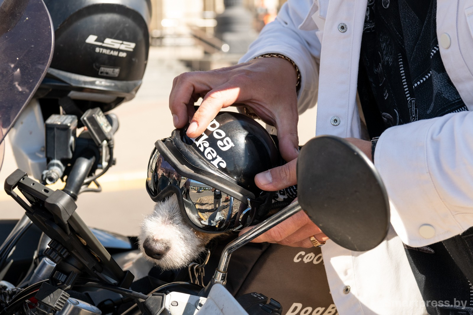 16-Джеки готовится к поездке.jpg 16-Джеки готовится к поездке.jpg