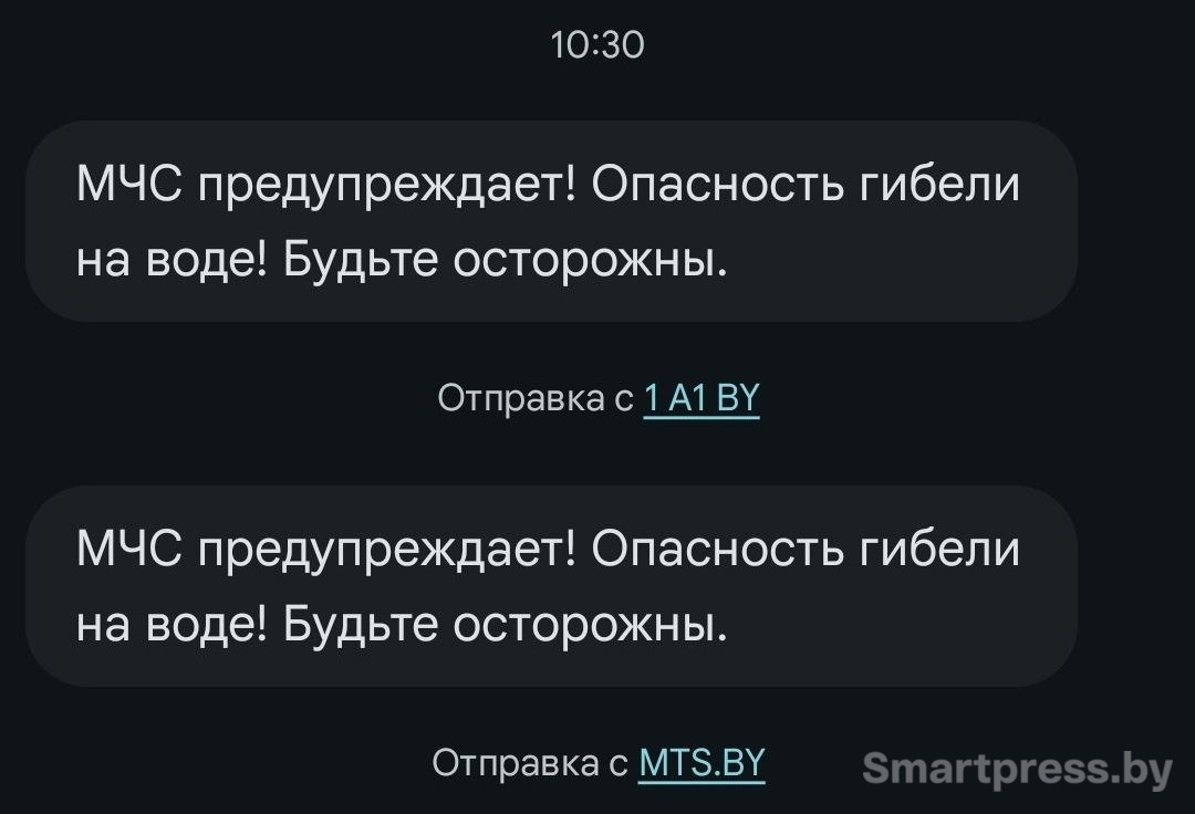 СМС от МЧС.jpg