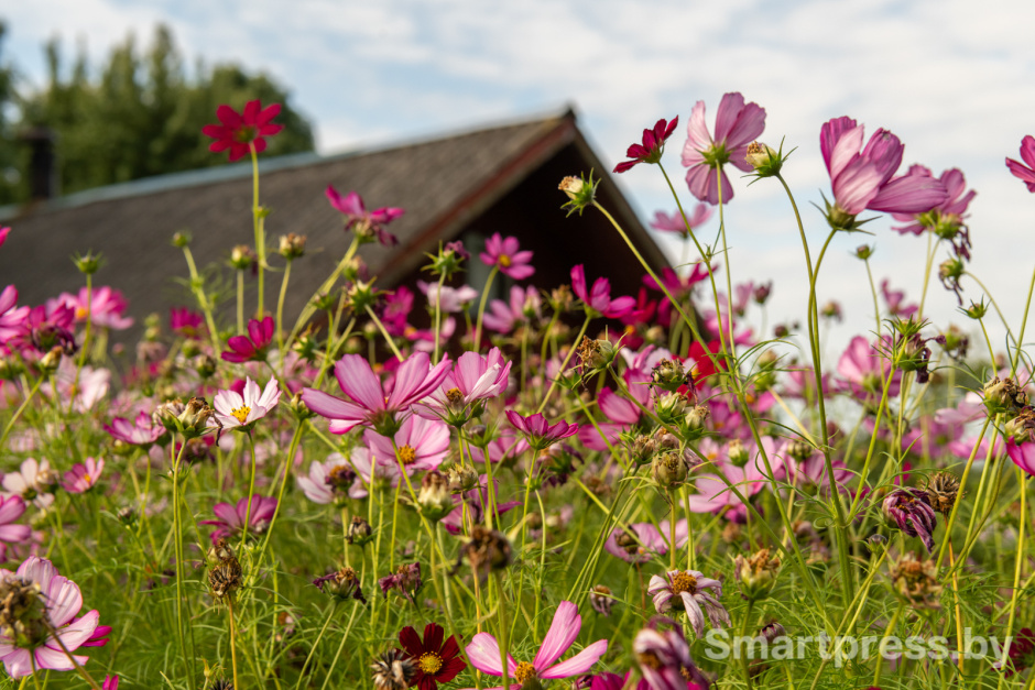 Анастасия и Зара (20).jpg