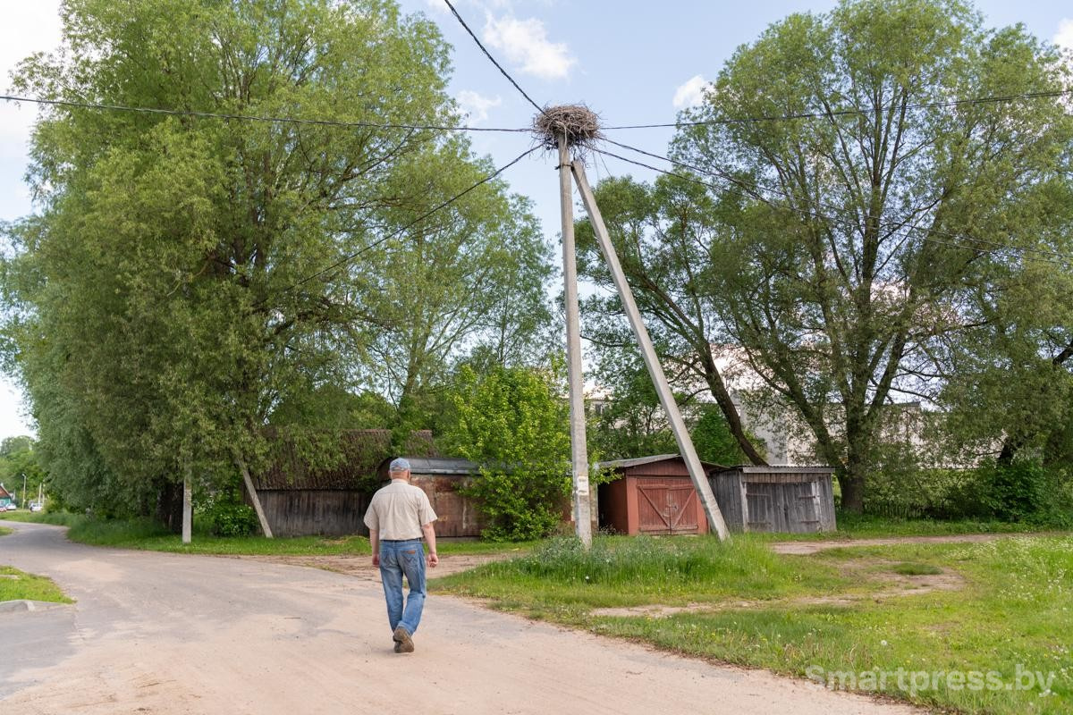 5-Гнездо аиста на столбе.jpg