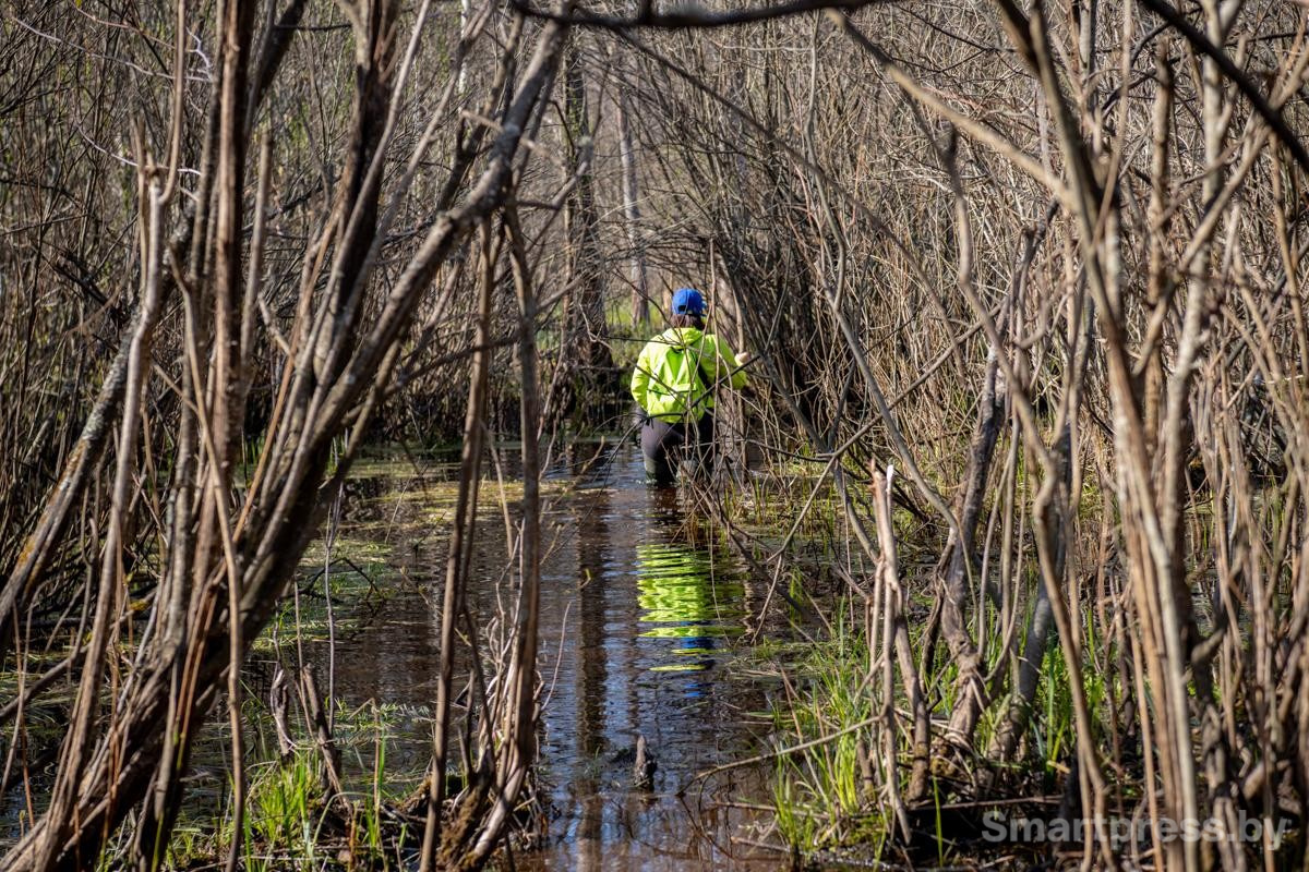 13-Путь по воде к пойменным дубравам.jpg