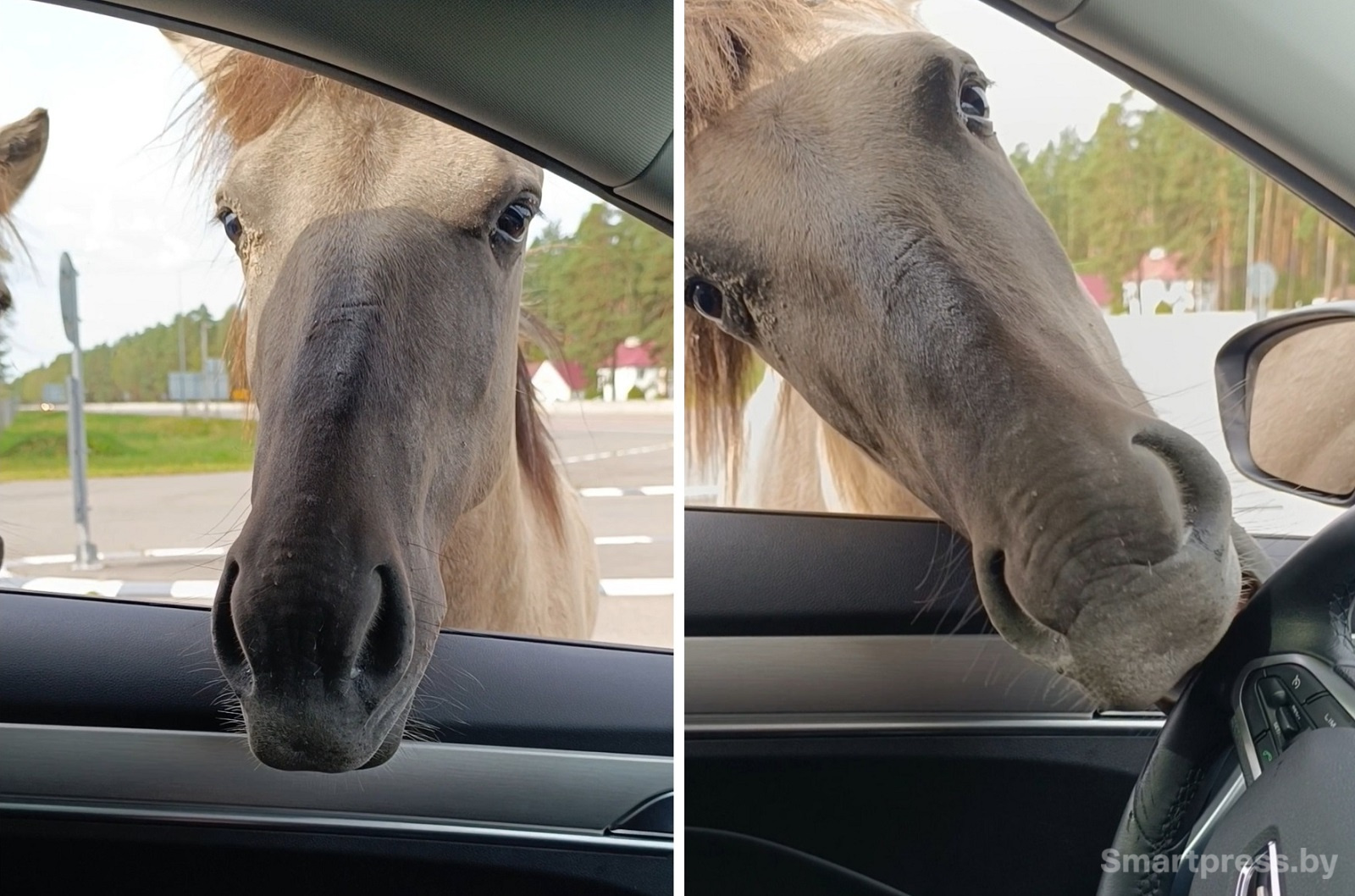 здравствуйте