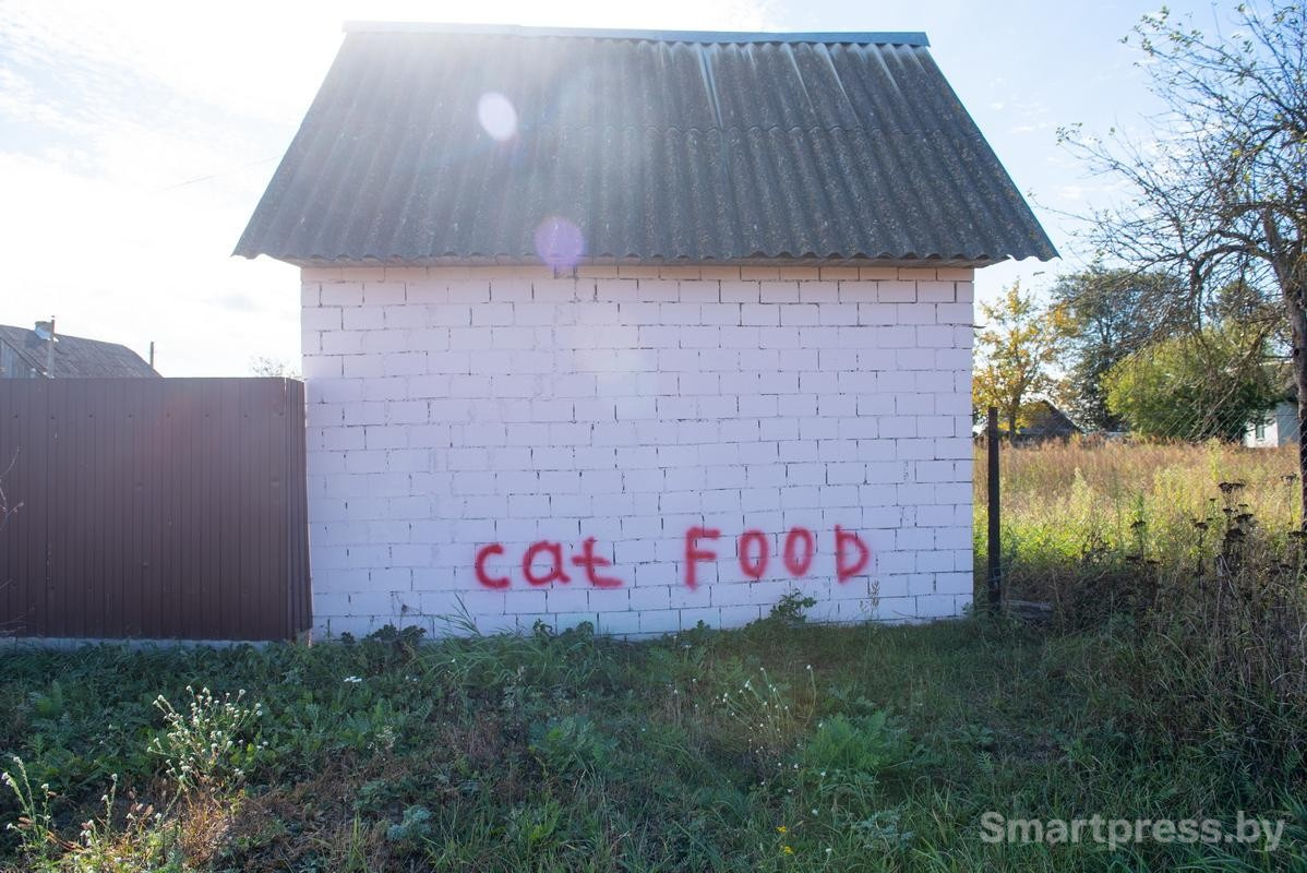 7-Ребята подписали стену гаража.jpg