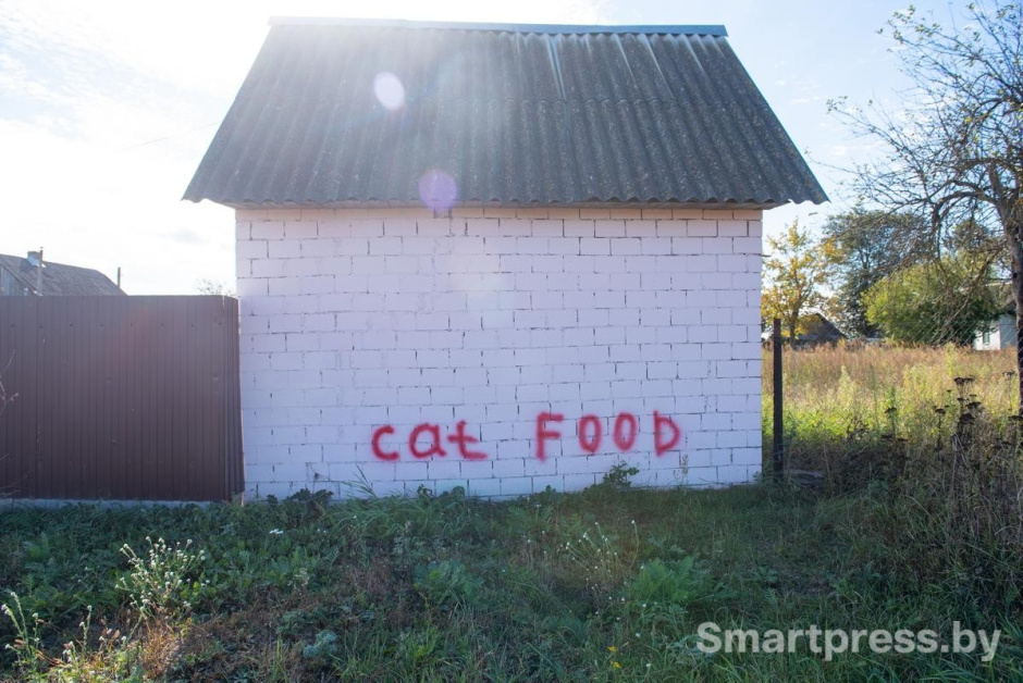 7-Ребята подписали стену гаража.jpg