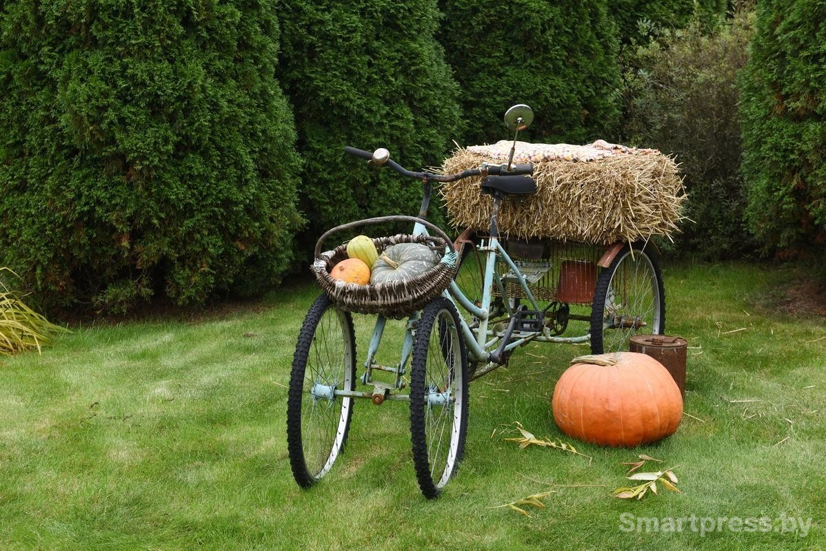 5-Убранство на участке семьи Гущенсковых.jpg