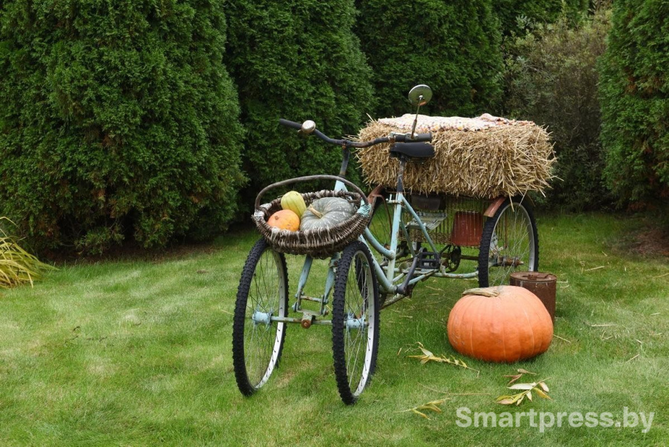 5-Убранство на участке семьи Гущенсковых.jpg