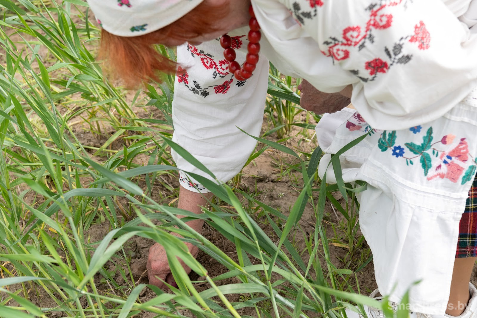 27-Обряд Вождение и похороны Стрелы (Пахаванне Стралы) в деревне Столбун Ветковского района.jpg