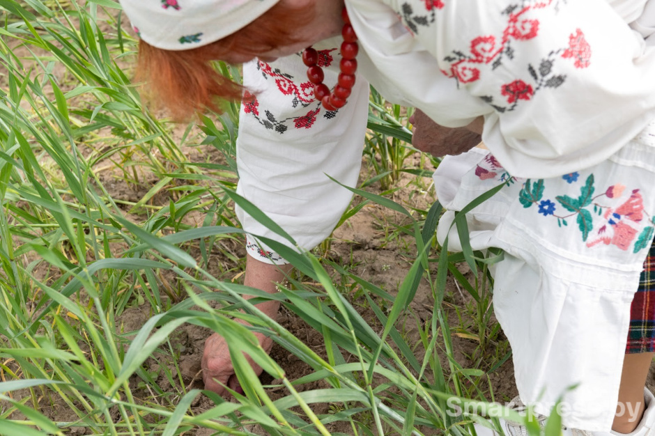 27-Обряд Вождение и похороны Стрелы (Пахаванне Стралы) в деревне Столбун Ветковского района.jpg