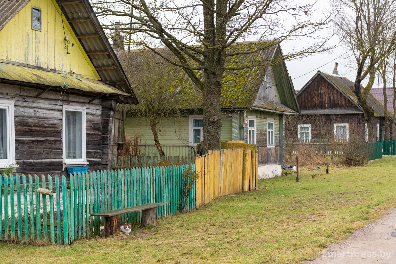 6-Деревня Королевцы.jpg