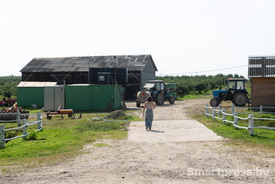 Фундоковый сад (11).jpg