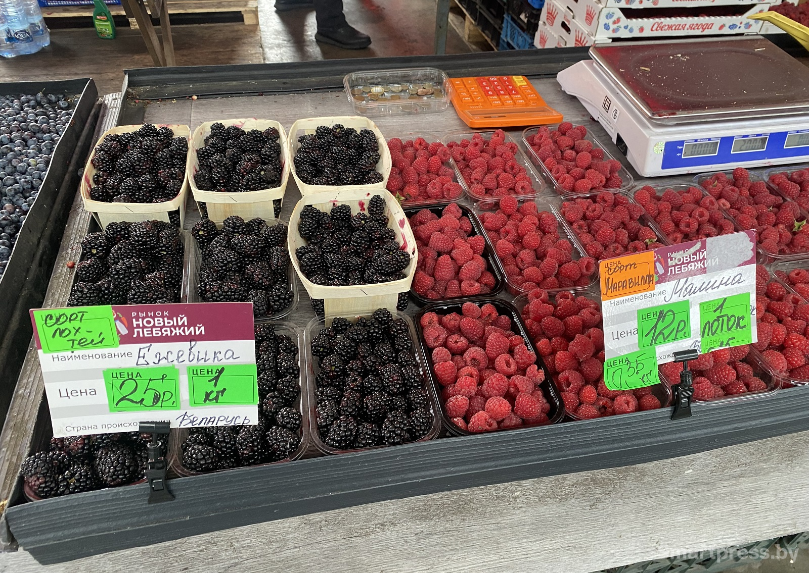 ежевика и тепличная малина