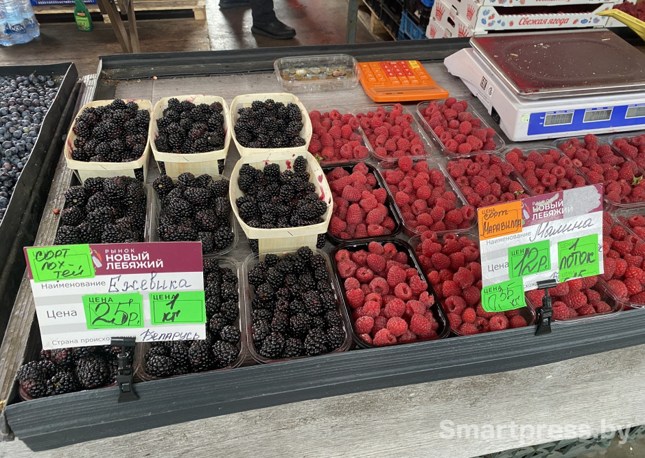 ежевика и тепличная малина