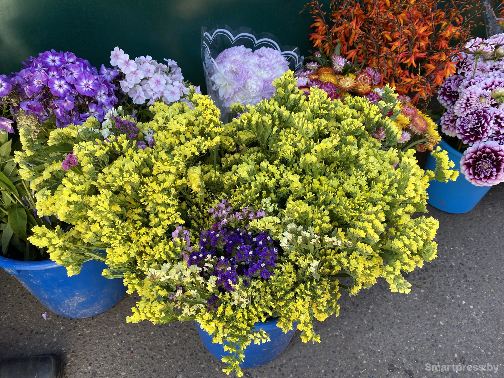 Долговечные цветы