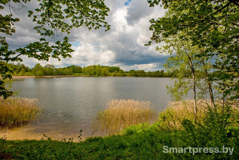 Семья из Израиля переехала жить в белорусскую деревню 7_Деревня Зябки.jpg