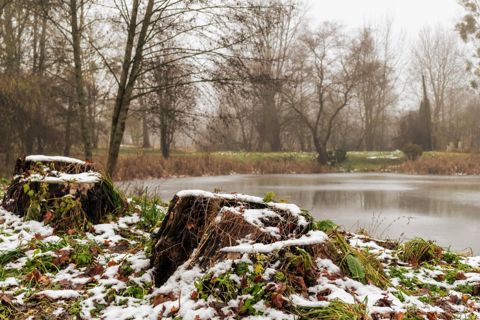 19-Территория вокруг усадьбы Котлубаев 2025 год.jpg
