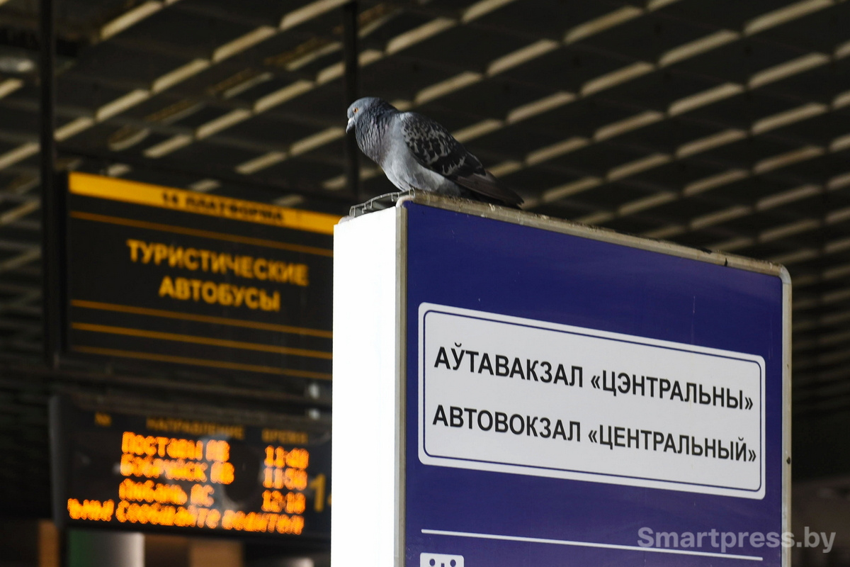 Автовокзал в Минске