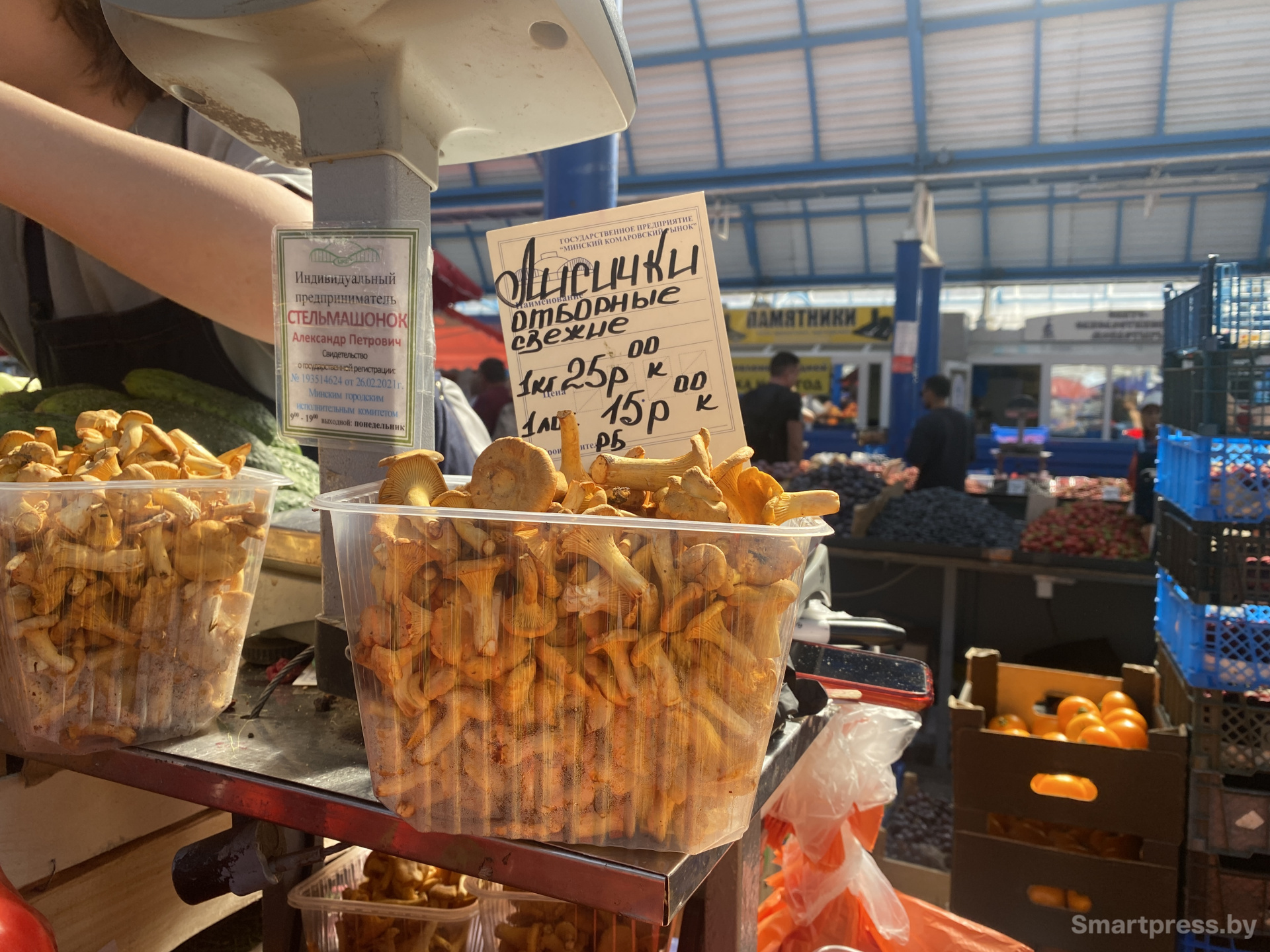 Лисички из Брестской области