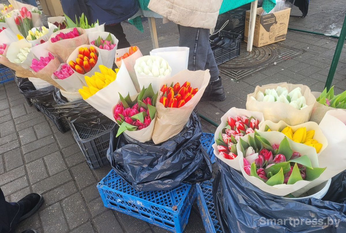 ассортимент на Академии наук1
