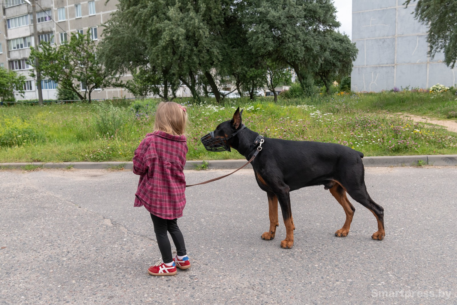 14-Эмилия и Рагнар.jpg