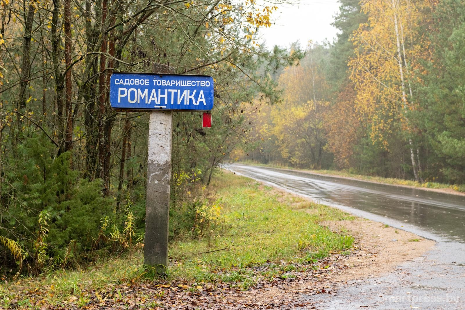 5-Садовое товарищество Романтика под Минском.jpg