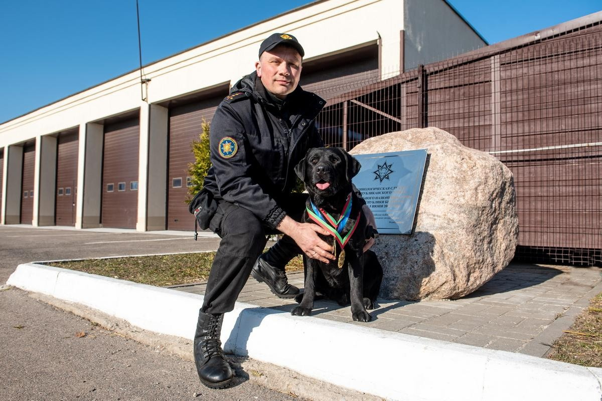 8-Сергей Язинский лабрадор Дарк и его награды.jpg