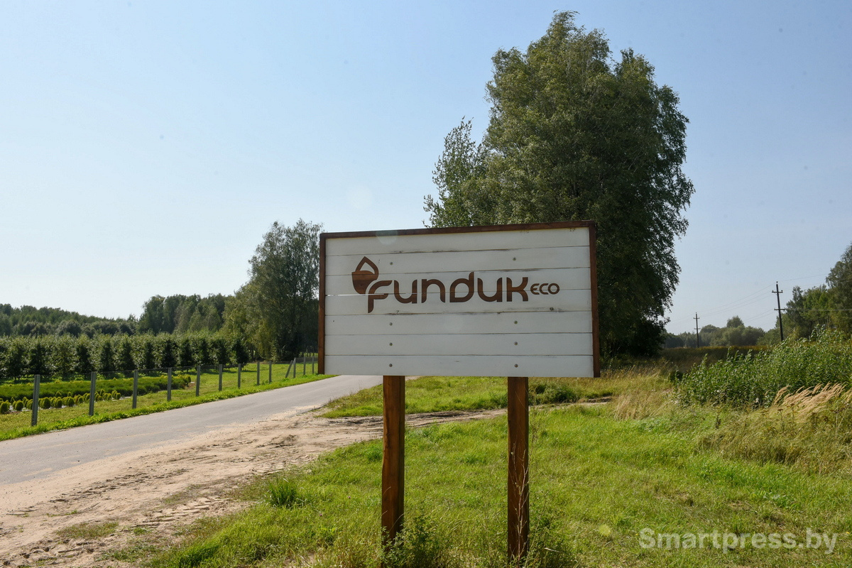 Фундоковый сад (5).jpg