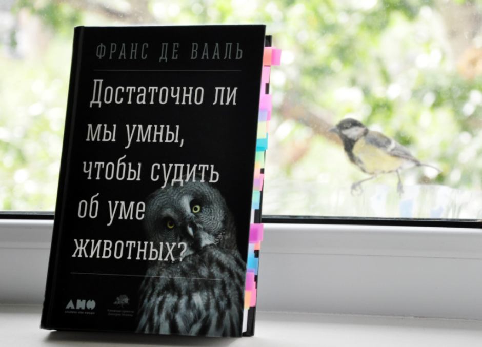 книги1.png