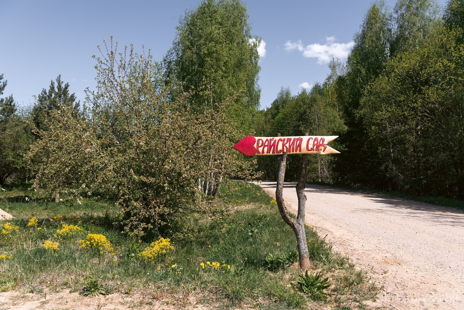 2-Райский сад в Воложинском районе.jpg