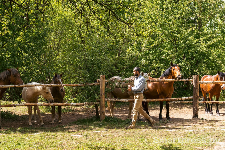 30-Андрей Остроух и лошади полесской породы.jpg